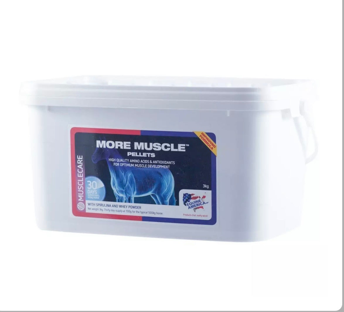 MORE MUSCLE™