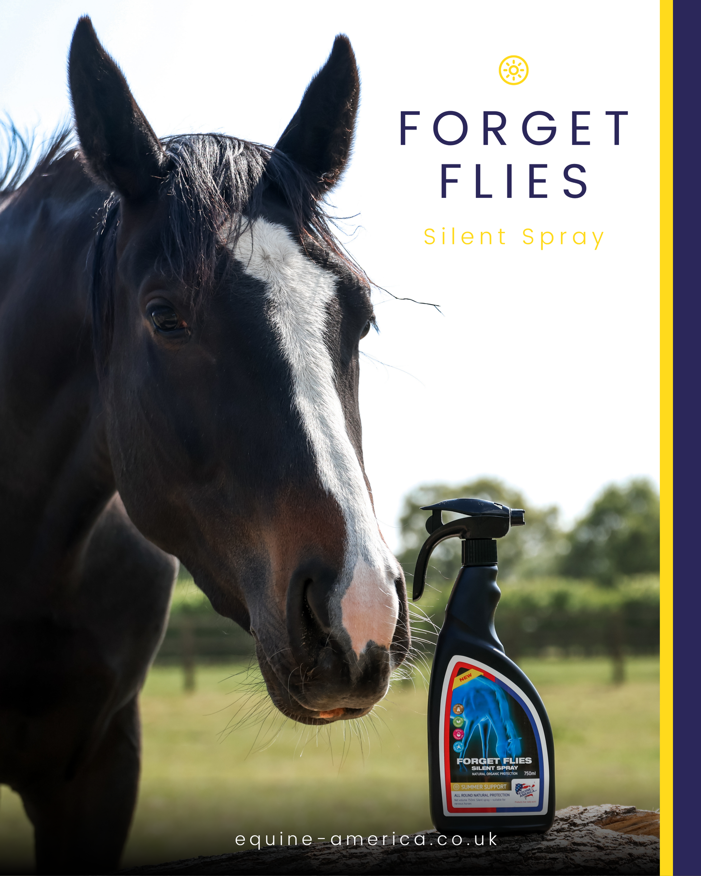 FORGET Flies spray